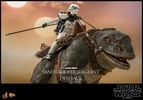 Sandtrooper Sergeant™ and Dewback™ (Prototype Shown) View 9