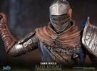 Elite Knight: Exploration Edition (Prototype Shown) View 3