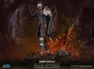 Elite Knight: Exploration Edition (Prototype Shown) View 5