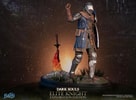 Elite Knight: Exploration Edition (Prototype Shown) View 6
