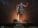 Elite Knight: Exploration Edition (Prototype Shown) View 9