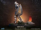 Elite Knight: Exploration Edition (Prototype Shown) View 11