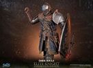 Elite Knight: Exploration Edition (Prototype Shown) View 14
