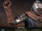 Elite Knight: Exploration Edition (Prototype Shown) View 16
