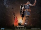 Elite Knight: Exploration Edition (Prototype Shown) View 18