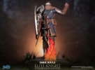 Elite Knight: Exploration Edition (Prototype Shown) View 19