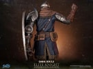 Elite Knight: Exploration Edition (Prototype Shown) View 20