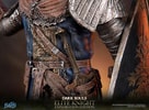 Elite Knight: Exploration Edition (Prototype Shown) View 21