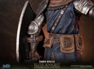 Elite Knight: Exploration Edition (Prototype Shown) View 22