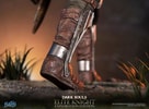 Elite Knight: Exploration Edition (Prototype Shown) View 24