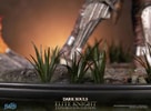 Elite Knight: Exploration Edition (Prototype Shown) View 25