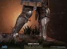 Elite Knight: Exploration Edition (Prototype Shown) View 28