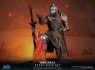 Elite Knight: Humanity Restored Edition (Prototype Shown) View 3