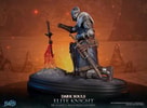 Elite Knight: Humanity Restored Edition (Prototype Shown) View 7