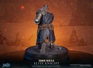 Elite Knight: Humanity Restored Edition (Prototype Shown) View 8