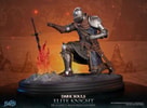 Elite Knight: Humanity Restored Edition (Prototype Shown) View 13