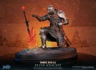 Elite Knight: Humanity Restored Edition (Prototype Shown) View 14