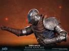 Elite Knight: Humanity Restored Edition (Prototype Shown) View 20