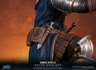 Elite Knight: Humanity Restored Edition (Prototype Shown) View 23