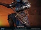Elite Knight: Humanity Restored Edition (Prototype Shown) View 24