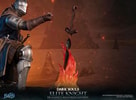 Elite Knight: Humanity Restored Edition (Prototype Shown) View 26