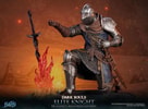 Elite Knight: Humanity Restored Edition (Prototype Shown) View 28