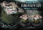Xenomorph Egg (Open Version) (Prototype Shown) View 9
