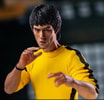 Bruce Lee 2.0 (Deluxe Version) (Prototype Shown) View 1