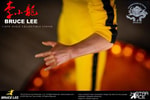 Bruce Lee 2.0 (Deluxe Version) (Prototype Shown) View 6