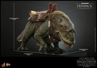 Dewback™ (Prototype Shown) View 3