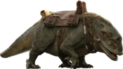 Dewback™ (Prototype Shown) View 11