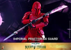 Imperial Praetorian Guard™ (Prototype Shown) View 3