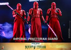 Imperial Praetorian Guard™ (Prototype Shown) View 11