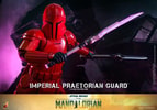 Imperial Praetorian Guard™ (Prototype Shown) View 16