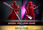 Imperial Praetorian Guard™ (Prototype Shown) View 18