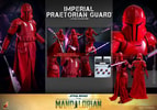 Imperial Praetorian Guard™ (Prototype Shown) View 19