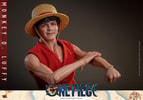 Monkey D. Luffy (Prototype Shown) View 17