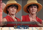 Monkey D. Luffy (Prototype Shown) View 19