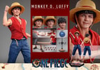 Monkey D. Luffy (Prototype Shown) View 20