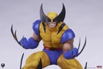 Wolverine Collector Edition (Prototype Shown) View 12