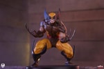 Wolverine (Classic Edition) (Prototype Shown) View 1
