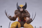 Wolverine (Classic Edition) (Prototype Shown) View 11