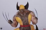 Wolverine (Classic Edition) (Prototype Shown) View 12