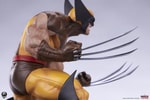 Wolverine (Classic Edition) (Prototype Shown) View 13