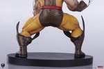 Wolverine (Classic Edition) (Prototype Shown) View 14