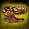 T-Rex Skull (Prototype Shown) View 1