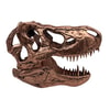T-Rex Skull (Prototype Shown) View 6