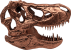 T-Rex Skull (Prototype Shown) View 9
