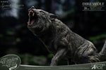 Smilodon & Dire Wolf Twin Pack Set (Prototype Shown) View 7