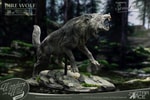 Smilodon & Dire Wolf Twin Pack Set (Prototype Shown) View 11